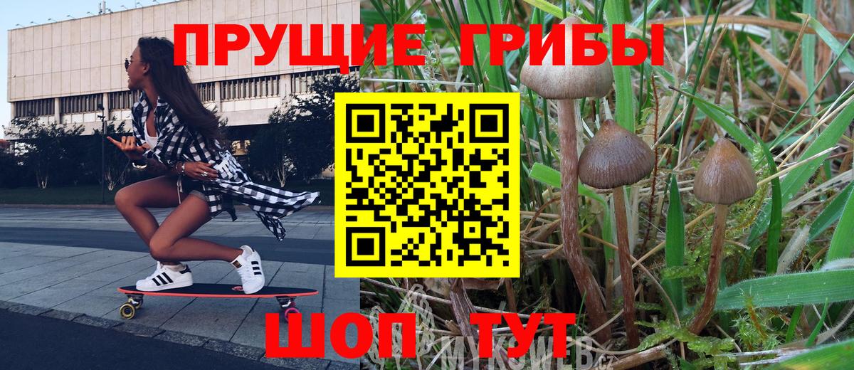 Новокуйбышевск  Галлюциногенные грибы прущие грибы  дарнет шоп  Вход с VPN 