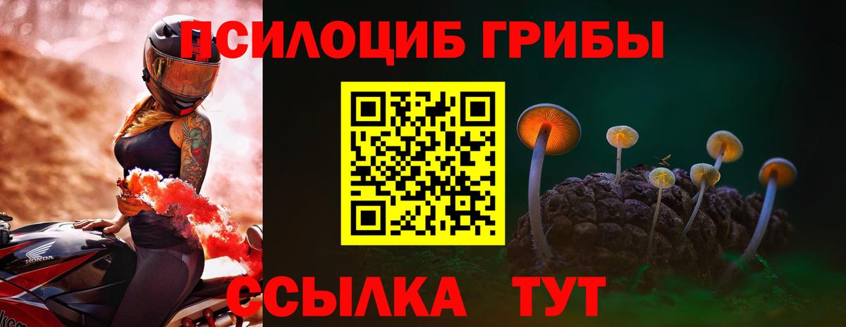 Псилоцибиновые грибы ЛСД Новокуйбышевск